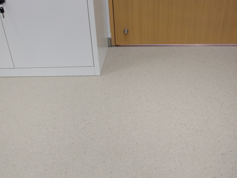 大巨龙同质透心地板