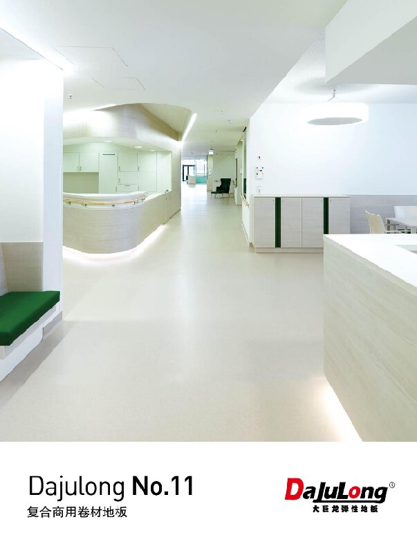 大巨龙NO.11文件下载