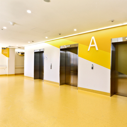 大巨龙多层复合pvc地板