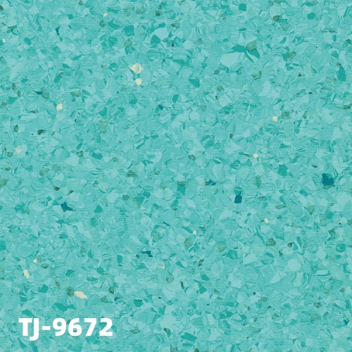 TJ-9672