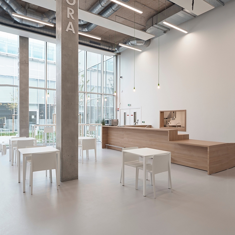 大巨龙耶利亚地板