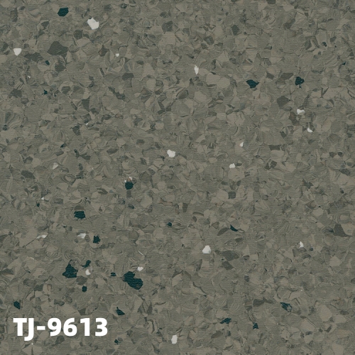 TJ-9613