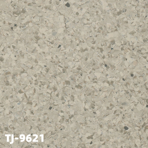 TJ-9621