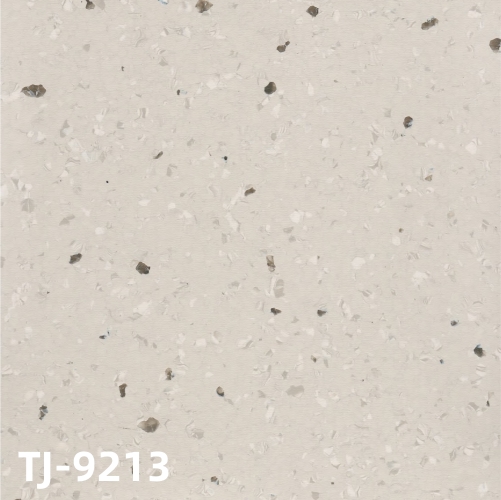 TJ-9213