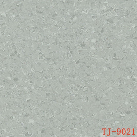 TJ-9021