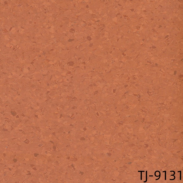 TJ-9131