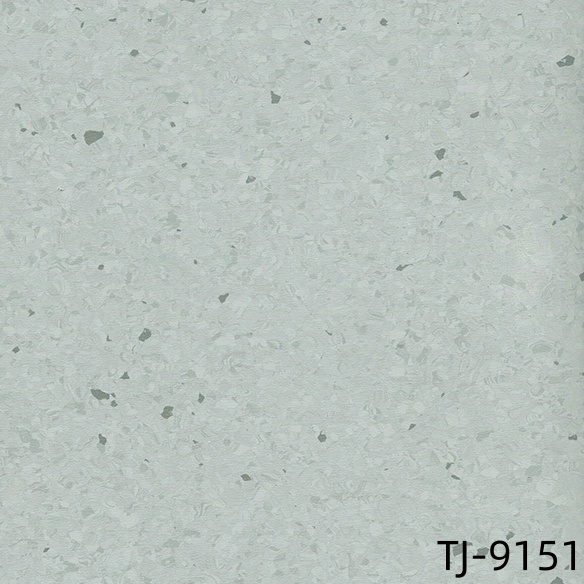 TJ-9151