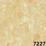 7227