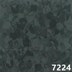 7224