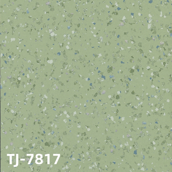 TJ-7817
