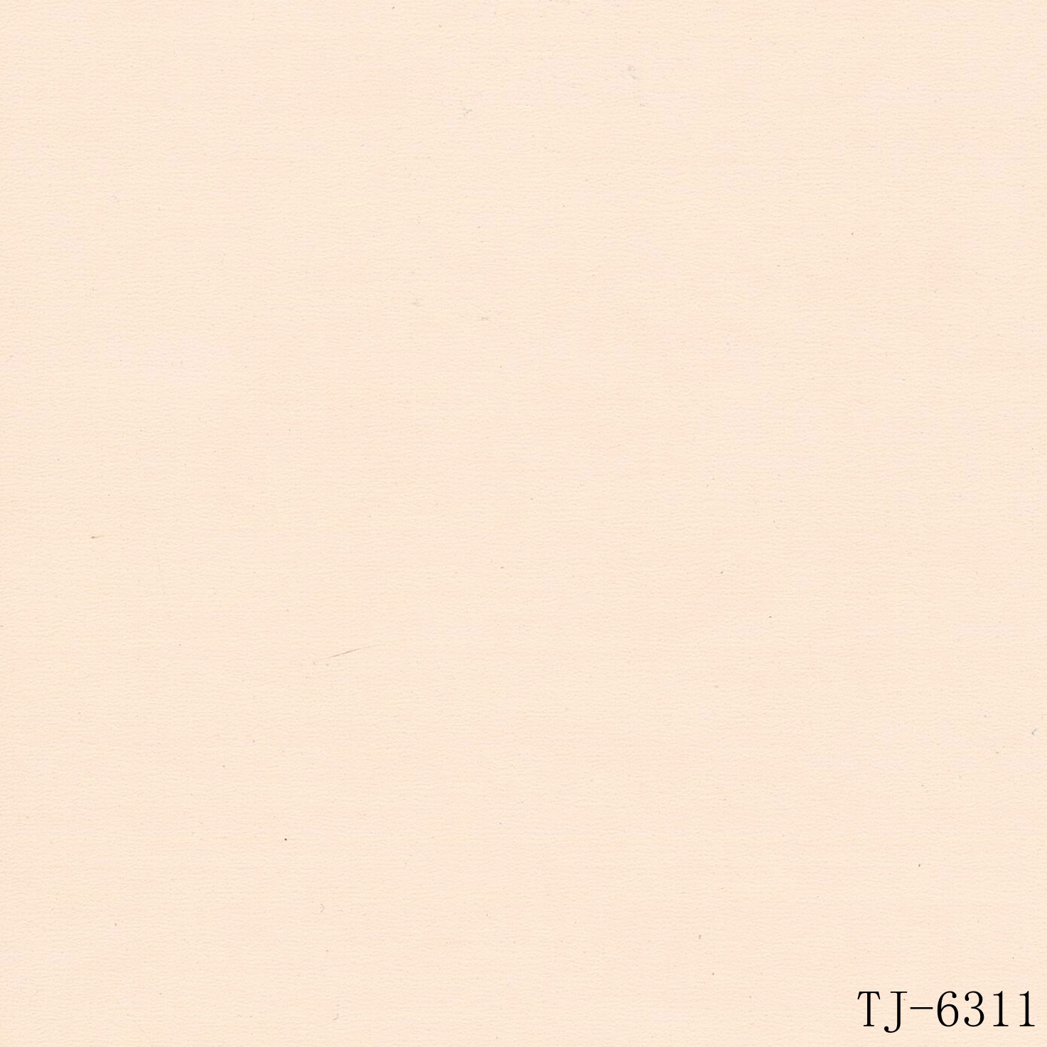 TJ-6311
