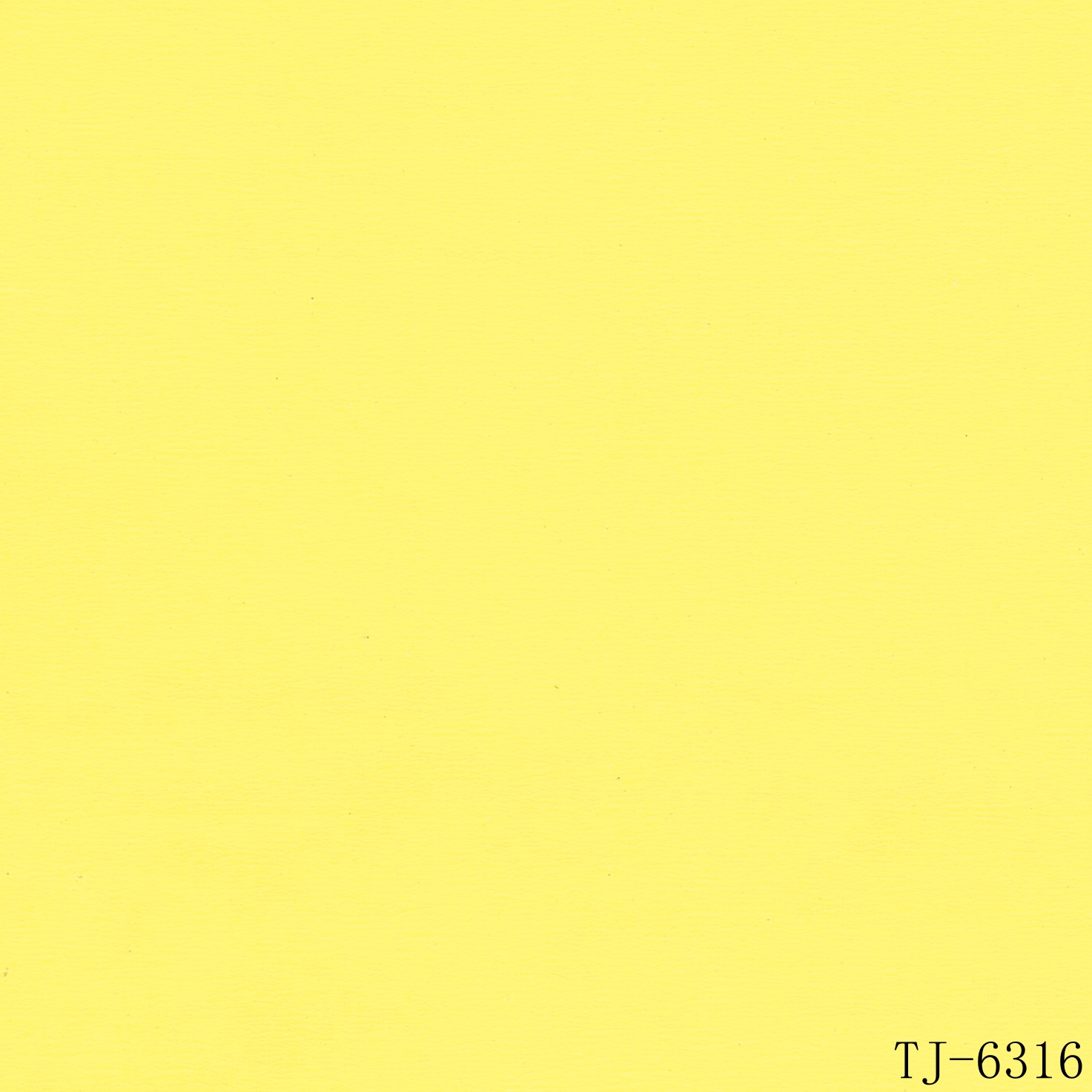 TJ-6316