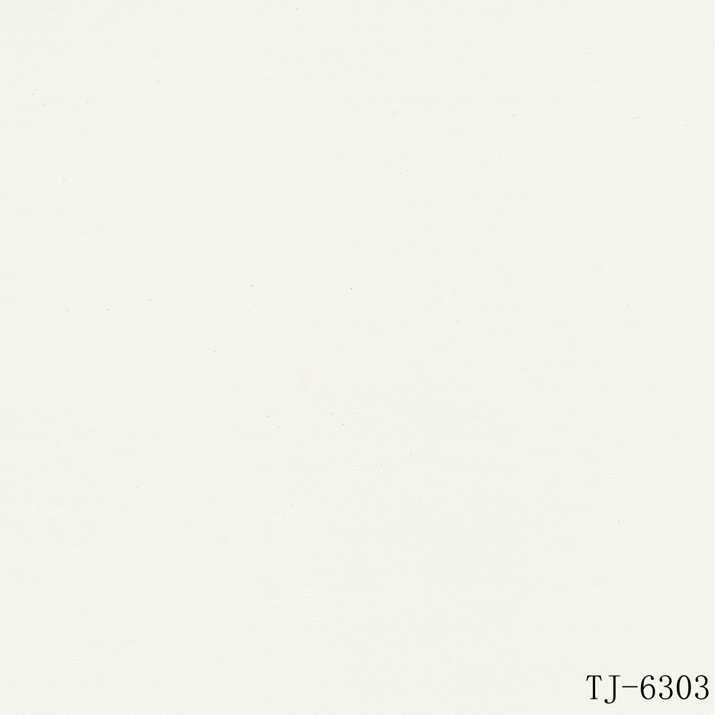 TJ-6303