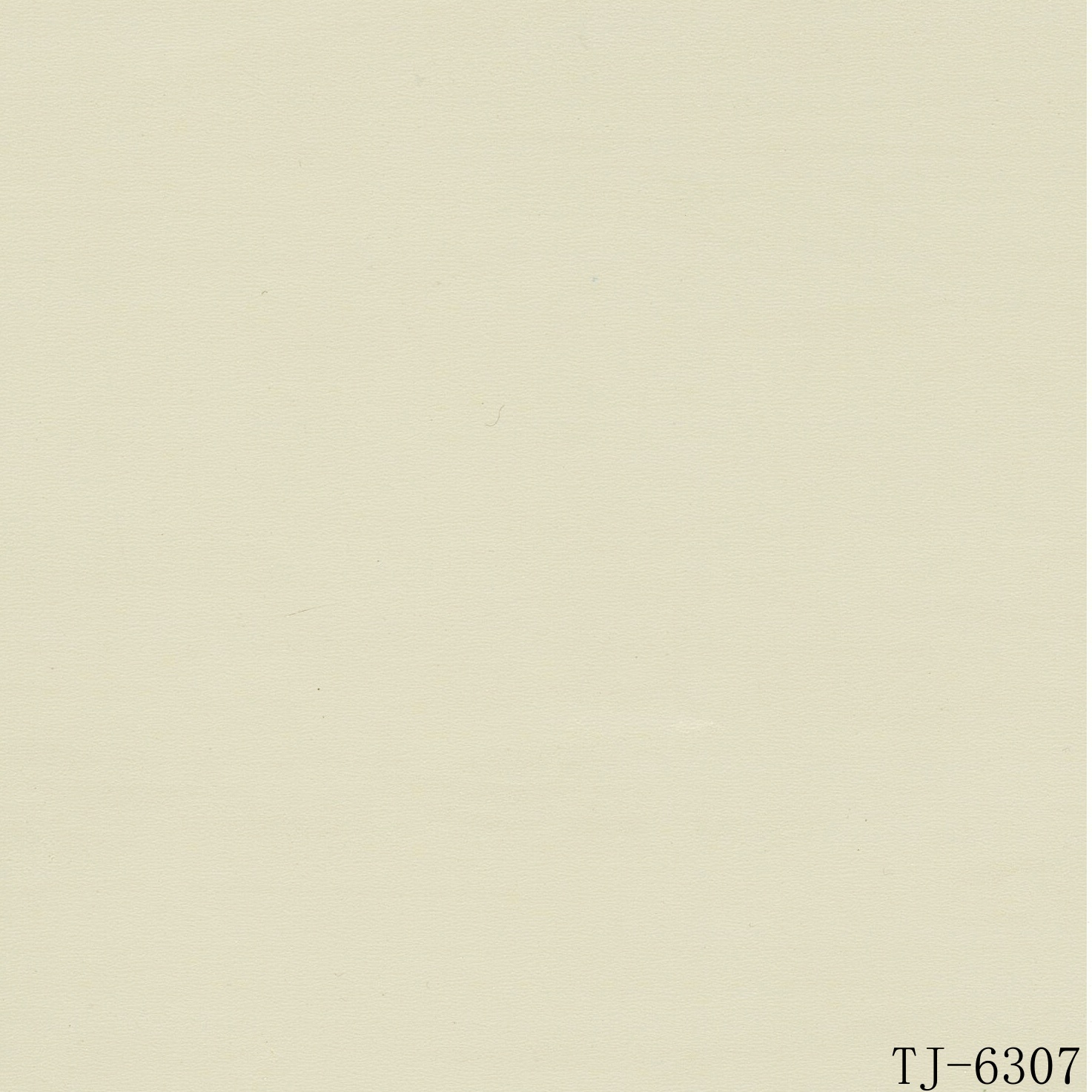 TJ-6308