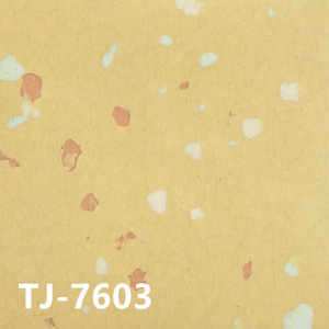 TJ-7603