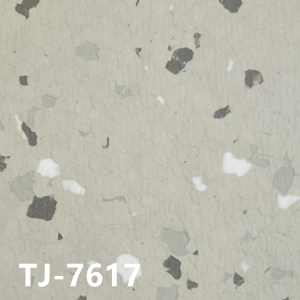 TJ-7617