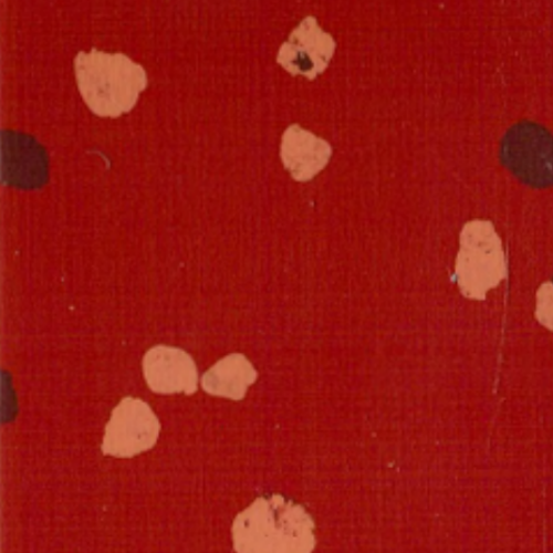 KM-1536