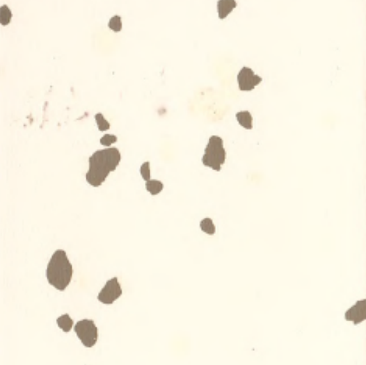 KM-1602