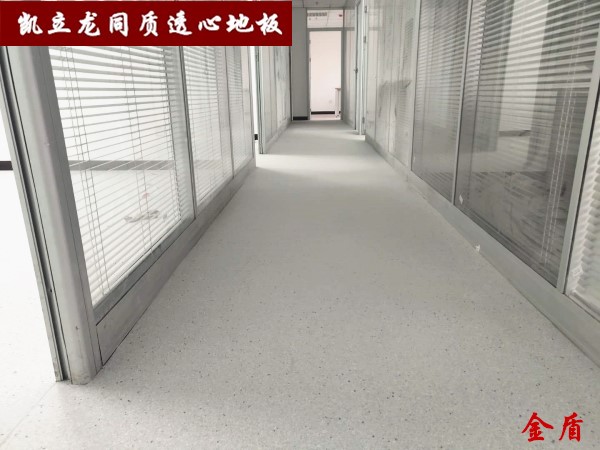 凯立龙金盾