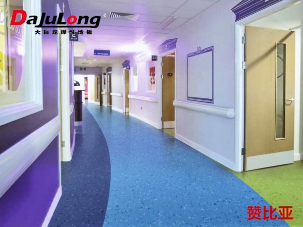 大巨龙赞比亚地板