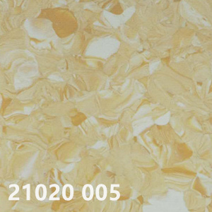 21020 005