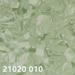 21020 010