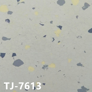 赞比亚TJ-7613