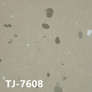 赞比亚TJ-7608