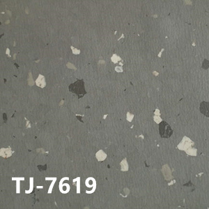 赞比亚TJ-7619