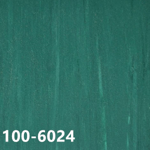 100-6024