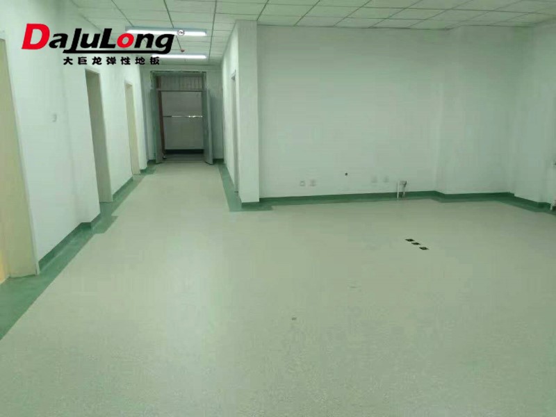 大巨龙